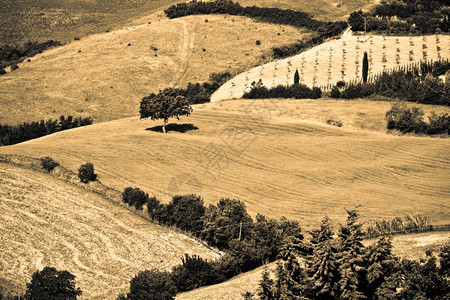 农村意大利地区典型貌托斯卡纳塞浦路自然图片
