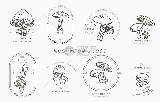 松露带有shimejishiitakeVector的蘑菇系列标志用于图志贴纸可打印和纹身花的手图片
