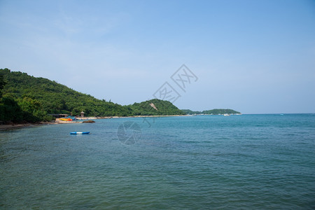 海景PattayaKohLarn树的海滩景点覆盖KohLarn山脉季节晴天图片