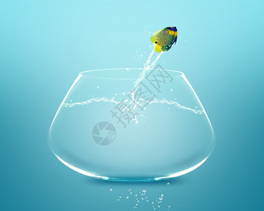 潜水下溅天使鱼跳跃和做杂技表演设计图片