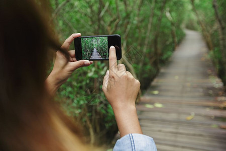 触碰风景红树林足迹用手机拍照片图片