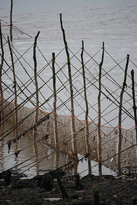 场景戳在苏格兰克里顿附近看到渔网从海滩法尔特逃出海边等待图片