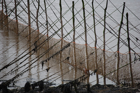 在苏格兰克里顿附近看到渔网从海滩法尔特逃出海边希望制作见过图片