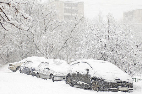 一种冬季车在镇上下雪时暴风二月图片