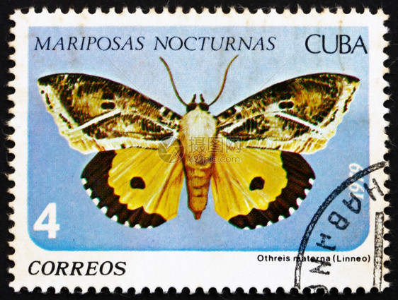 动物取消一种古巴大约197年一张印在古巴的邮票显示大约年OthreisMaterna夜间蝴蝶图片