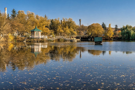 植物乌克兰切尔卡西地区Ivanki村蓝湖边的乌克兰Sunny秋天傍晚在Cherkasy地区的Ivanki村休息图片