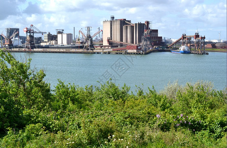 在Rozenburg的国土上除了自然以外许多行业都能看到鹿特丹港荷兰新北工厂图片