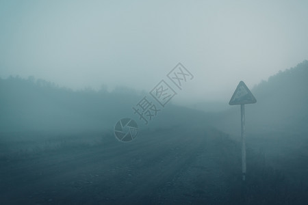 早晨雾中神秘的道路有雾树图片