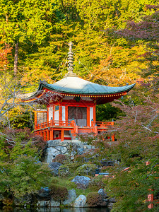 橙醍醐东京日本秋都大地寺庙图片