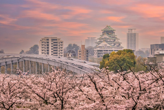 亚洲旅行大阪城堡的暮光日落时在本樱花开季节吸引力图片