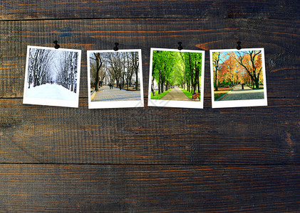 木质背景上的四个季节贴在深色木墙上的四个季节照片下雪的相春天图片