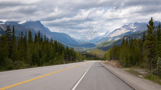 岩石加拿大艾伯塔Banff公园IcefieldParkway的全景图象生态系统范围图片