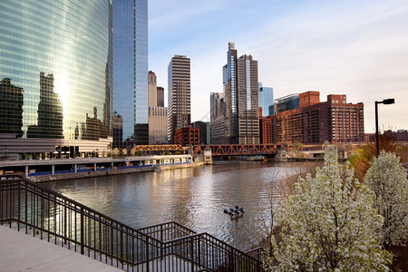 美国伊利诺州芝加哥河和城市天际开花目的地高楼图片