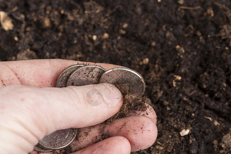美国在土壤中种植的硬币农业活动商概念人手硬币中的四分之一美元硬币和土壤中的25美元硬币风险投资银行有利可图背景