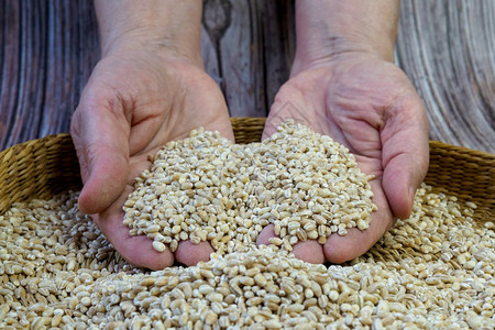 成熟满的棕碗里是珍珠大麦是珍珠大麦健康饮食和素概念谷物图片