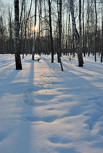 冬季雪景风光图片