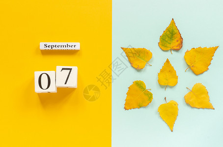 秋季作文木日历9月7日和黄色蓝背景上的黄秋叶顶视图平躺样机概念你好月秋季作文木日历月小样第七作品图片