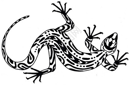 蜥蜴以民族风格绘制手插图白色背景上的黑蜥蜴以民族风格绘制手插图装饰纹身几何图片