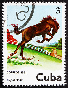 驯化的古巴大约198年一张印在古巴的邮票显示马EquusFerusCaballus大约年陈美国图片