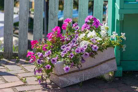 锅栅栏花朵在围附近的一个装饰花盆里放鲜图片