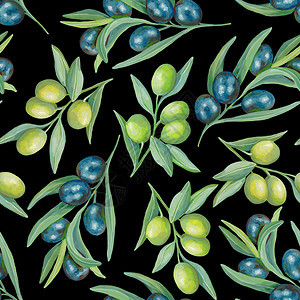 植物烹饪无缝模式黑底色和绿橄榄熟黑底绿色橄榄美丽的手画墙纸有机食品现实的丙烯香画分支机构图片