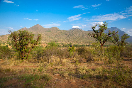 风景优美非洲人肯尼亚的风景山丘和蓝天空的树木路图片