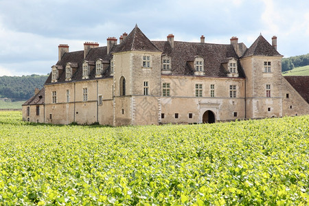 克鲁农业法国勃根迪克洛斯德沃格托特城堡结石图片