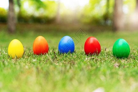 复活节鸡蛋日快乐的打猎装饰品卡片巢画图片