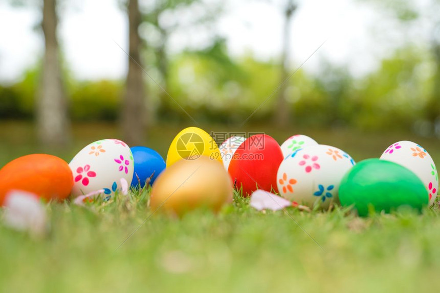 复活节鸡蛋日快乐的打猎装饰品四月画桌子图片