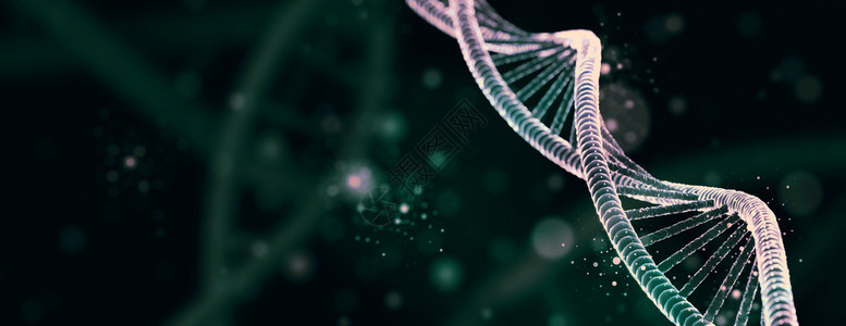 健康遗传上深背景生物学科和医技术概念3D插图DNA分子螺旋结构暗底背景生物科学和医黑暗的图片