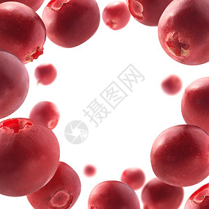 红色蔓越莓漂浮在白色背景上红蔓越莓漂浮在白色背景上维他命圆圈狐莓图片