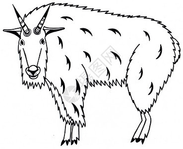 环境种族的山羊Oreamnosamericanus精神动物黑白插图带有案的剪影山羊带有图案的剪影艺术图片