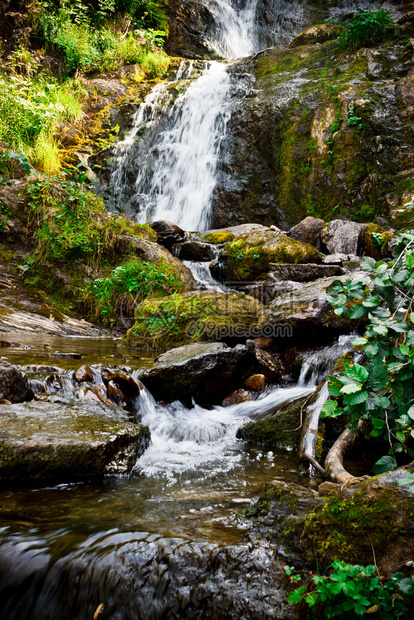 荒野夏天季森林河的山瀑布岸上有湿石和植物结图片