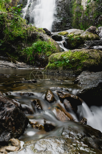 夏季森林河的山瀑布岸上有湿石和植物丛林景观荒野图片