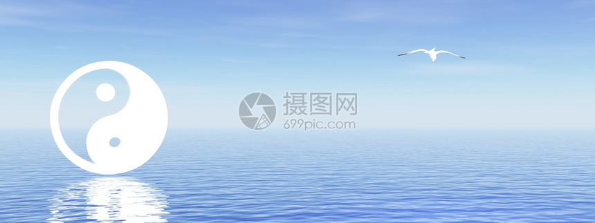 沉默的白色禅阴阳符号和蓝底海鸥有大洋燕阳图片