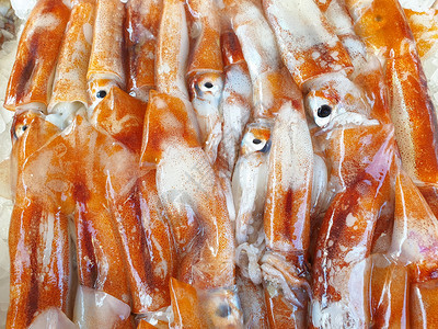 厨师自然冰上新鲜的鱿鱼Totani在冰上出售鱼用新鲜海产食品在当地市场销售摊位卖图片