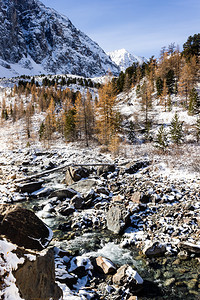 春天树木溪流山河雪中的岩石在山冬季旅行图片