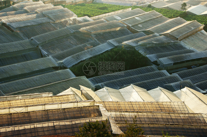 风景在越南大拉特市的农业发展中许多令人惊异的绿色屋一个蔬菜种植玻璃房子系统的地方使气候变化和大中的环境问题成为变化和气候问题生产图片