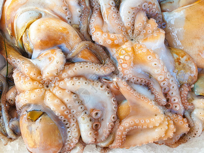 为了饮食冰上新鲜的八爪鱼出售当地市场上有新鲜海产食品的鱼肉市场摊位可口图片