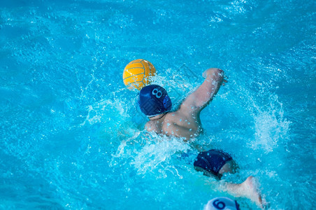 游泳水球是团队运动人们比赛图片