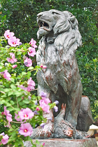 象征花城市公园捕猎狮子的雕像树图片