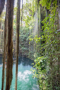 靠近池塘玛雅墨西哥奇琴伊察附近的ikKilCenote图片