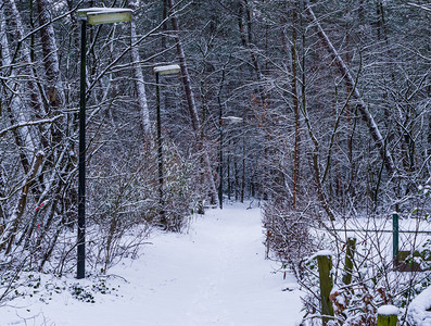 可怕的步行美丽雪林道路有未亮的灯柱森林冬季雪风景等小路图片