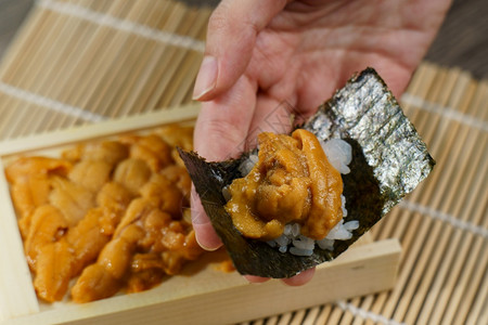 海鲜日本联合胆手持大米和海草饮食动物图片