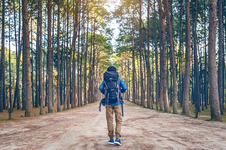 徒步男子背包在森林中行走游客背部夏天图片