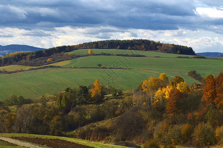 宽的场地农村貌景观上午秋季谷图片