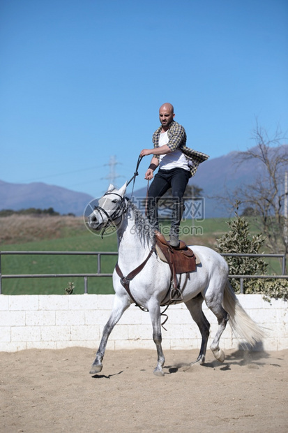 户外在沙地上骑白马的穿便衣年轻特技男骑士成人图片