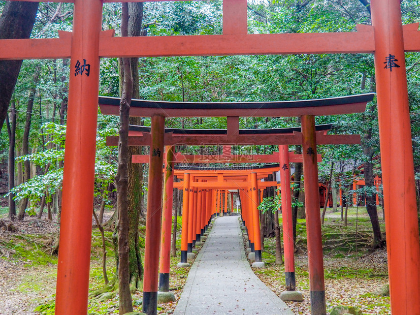 吸引力橿原2017年4月2日本甲原红托里门日本朝良的川原神庙草之堂寺图片