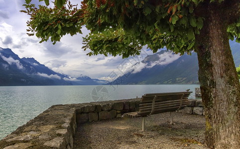 屋伯尔尼Brienz湖和阿尔卑斯山脉的座谈瑞士Brienz湖和阿尔卑斯山瑞士旅行图片