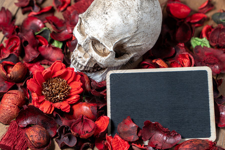 黑色的正面在人头骨前放在红干鲜花上木本的背景空白黑板文字和内容的万圣节黑暗的图片